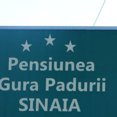 Gura Padurii Hotell Sinaia Exteriör bild